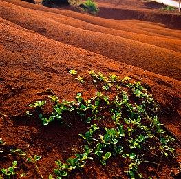 《纸嫁衣3鸳鸯债》官宣 将于9月29日登陆steam